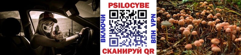 Купить  Струнино  Псилоцибиновые грибы ЛСД 